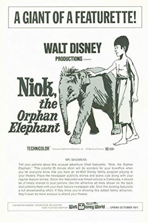 Niok, The Orphan Elephant