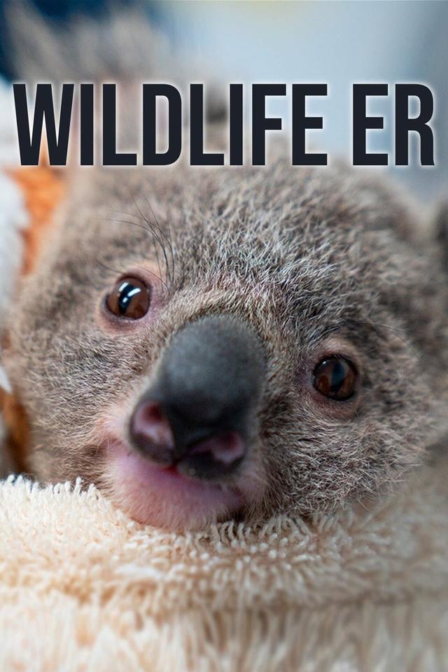 Wildlife ER