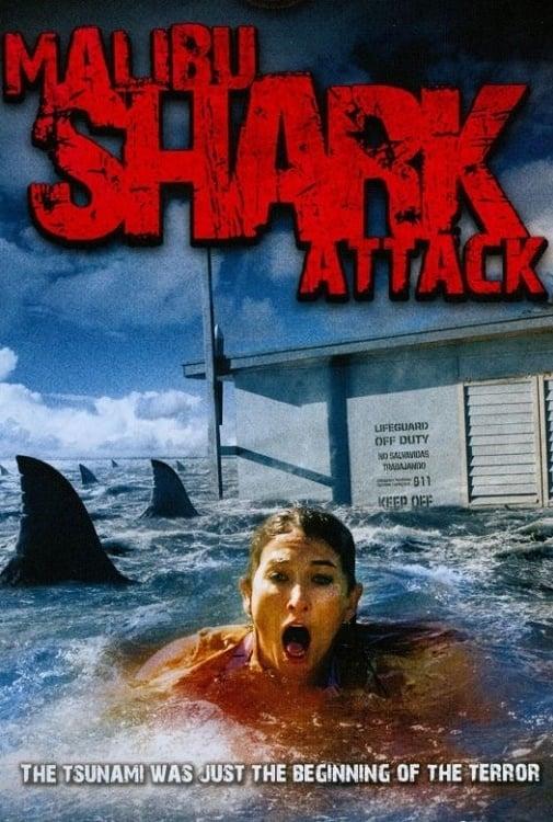 Malibu Shark Attack