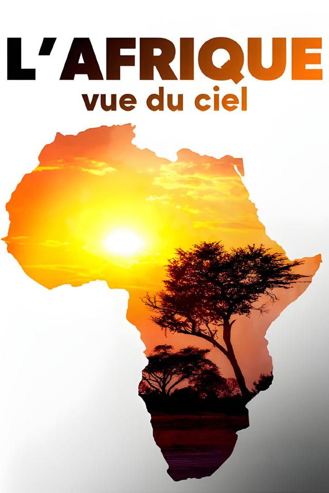 L'Afrique vue du ciel