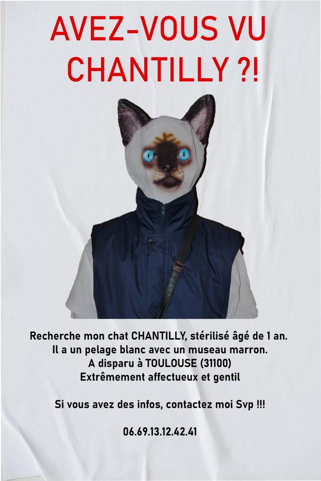 AVEZ-VOUS VU CHANTILLY ?!