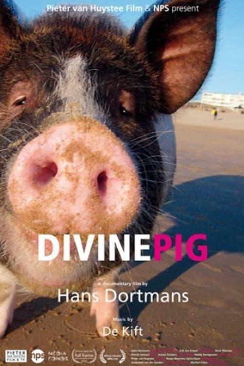 Divine Pig