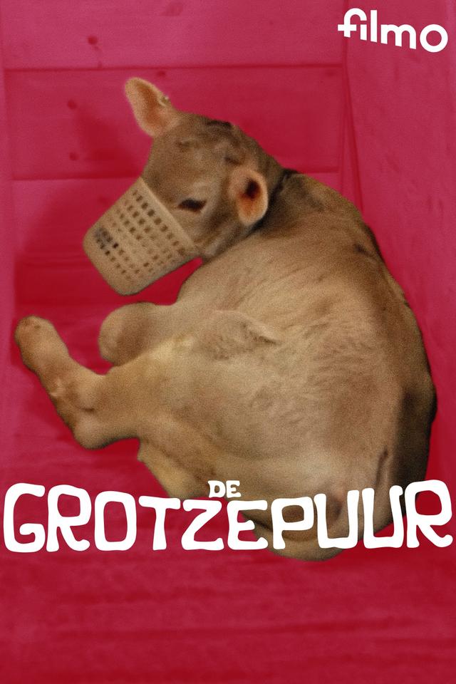 De grotzepuur