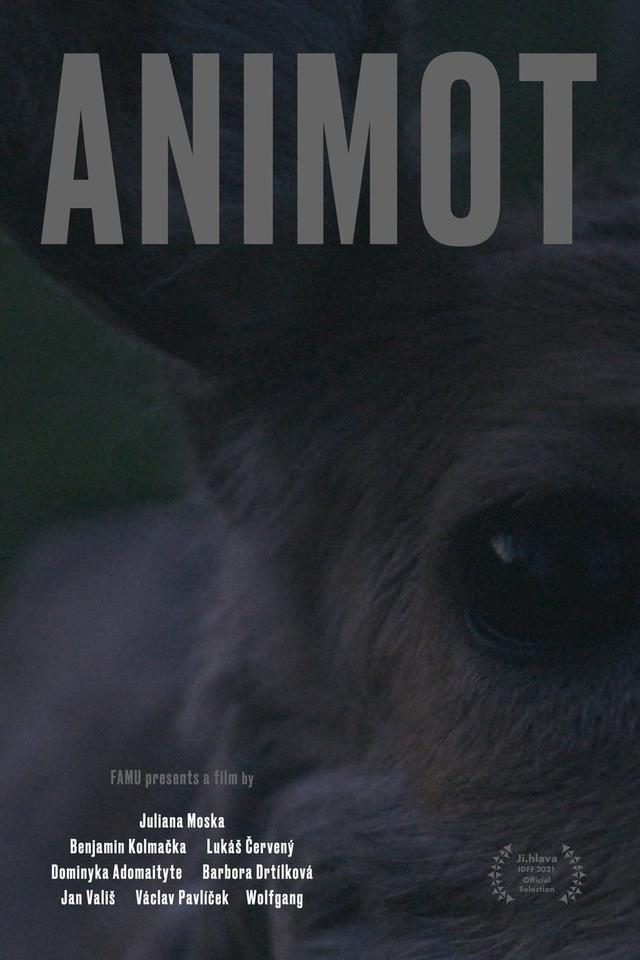 Animot