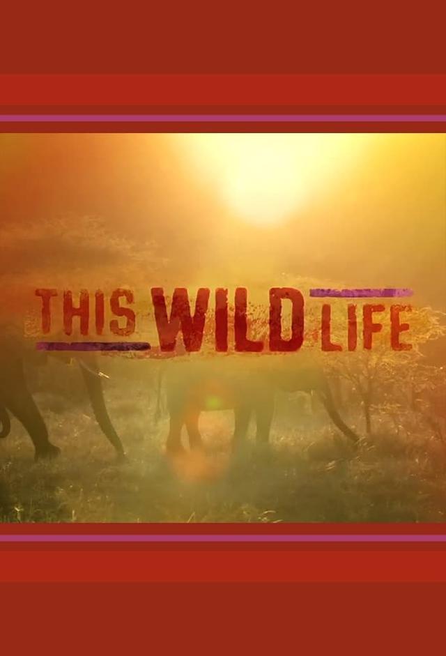 This Wild Life