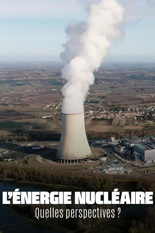 The Future of Nuclear Energy