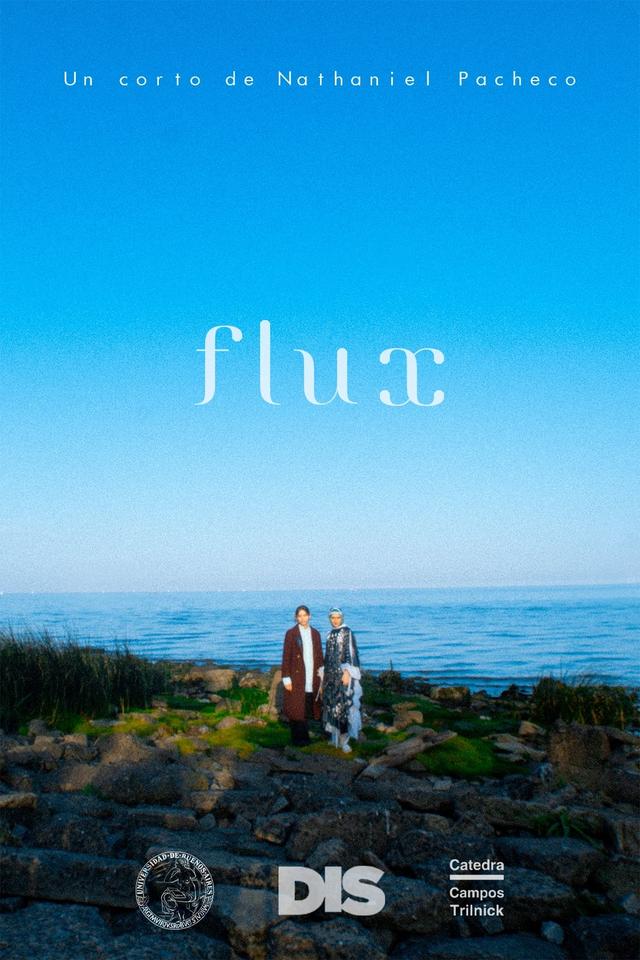 Flux