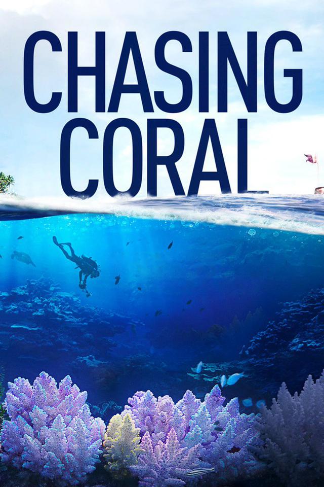 Chasing Coral