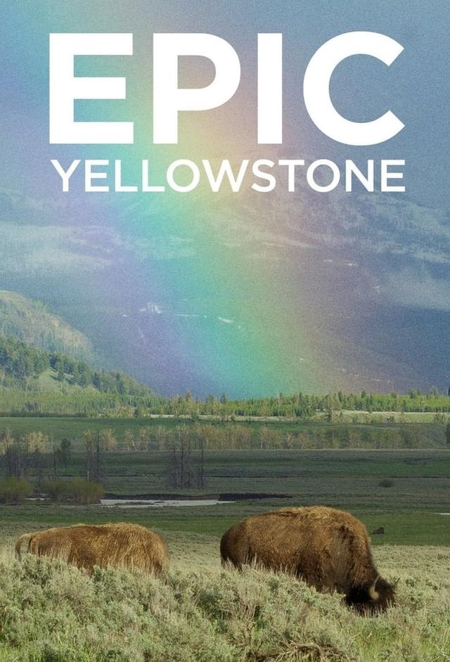 Epic Yellowstone