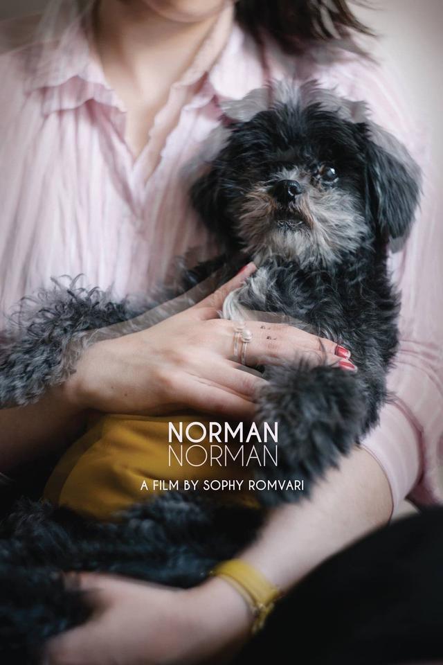 Norman Norman