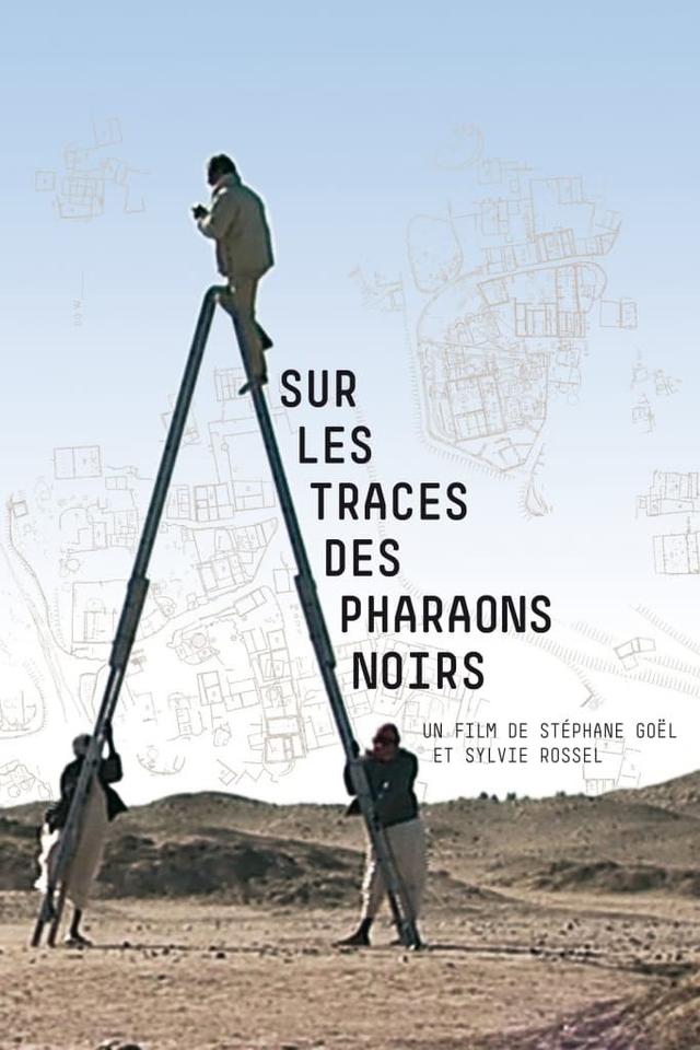 Sur les traces des pharaons noirs