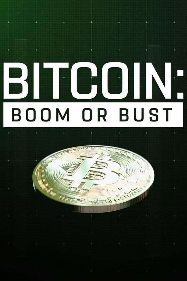 Bitcoin: Boom or Bust