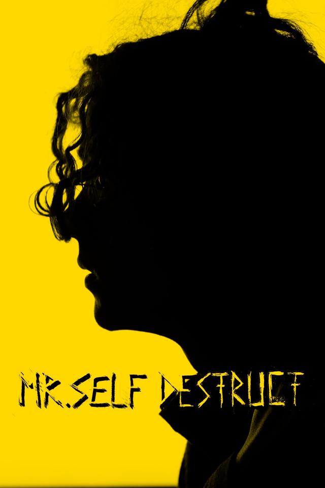 MR. SELF DESTRUCT