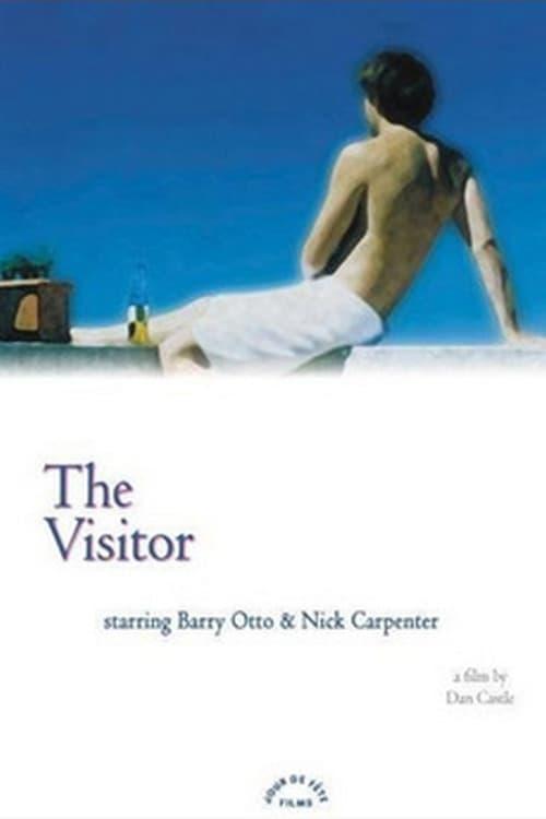 The Visitor