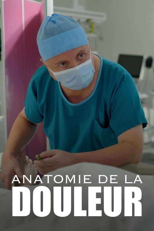 Anatomie de la douleur