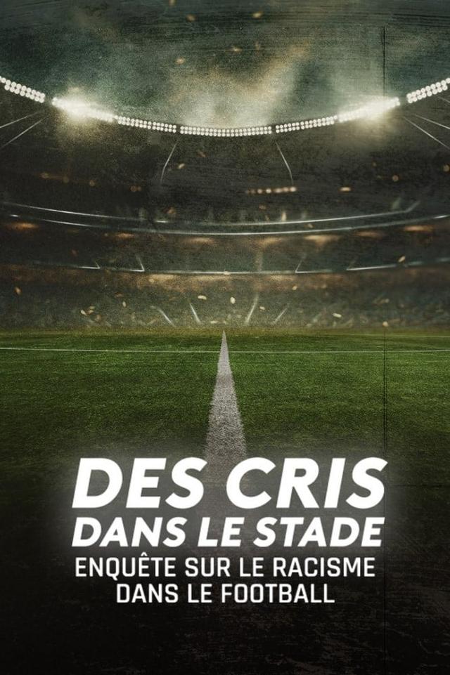 Des cris dans le stade, enquête sur le racisme dans le football