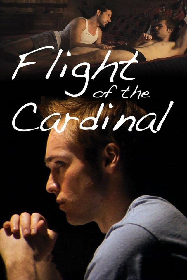 Flight of the Cardinal