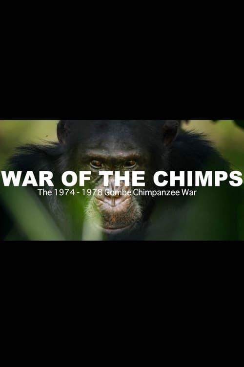 World War Chimp | The Brutal 1974 - 1978 Gombe Chimpanzee War: Documentary