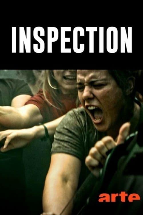 Inspection