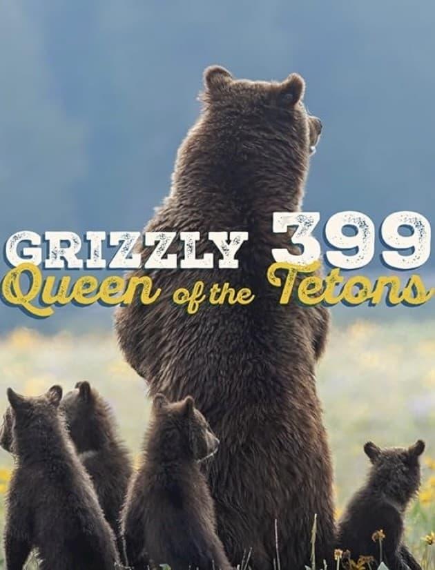 Grizzly 399: Queen of the Tetons