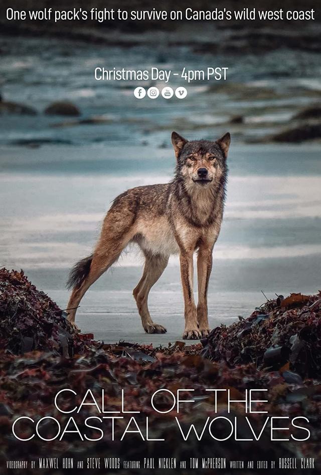 Call Of The Coastal Wolves