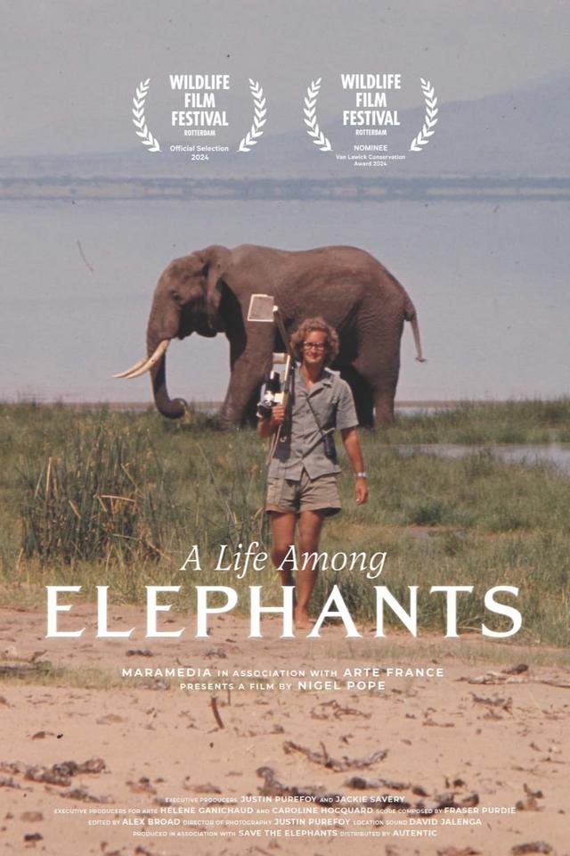 A Life Among Elephants