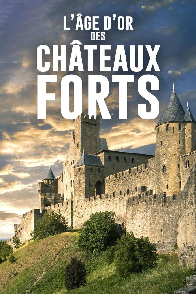 L'Âge d'or des châteaux forts