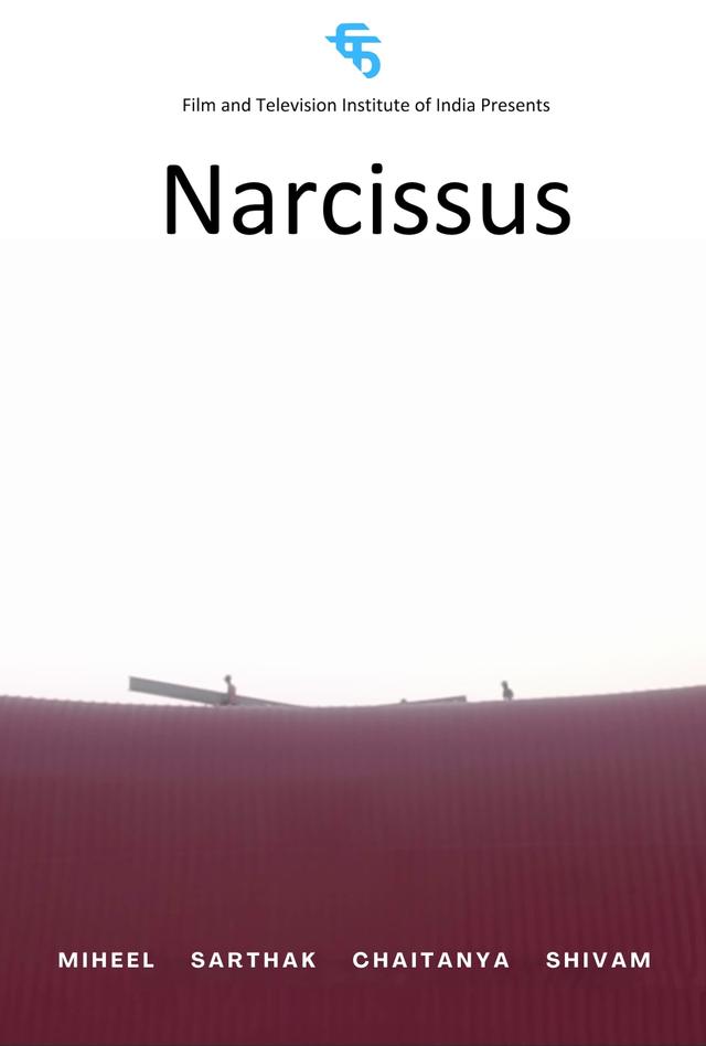 Narcissus