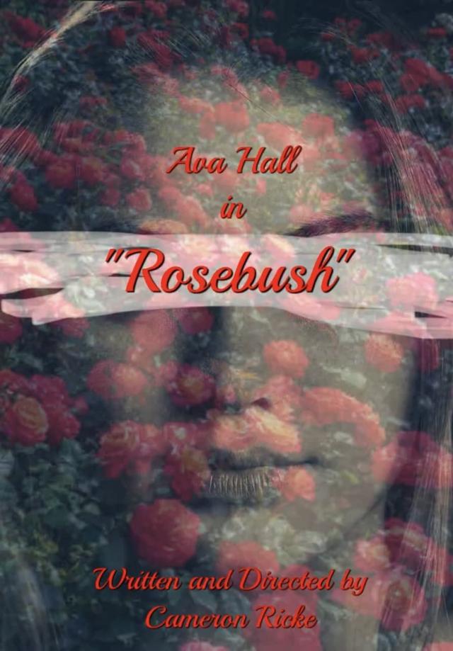 Rosebush