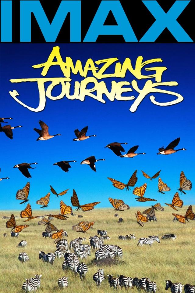 Amazing Journeys