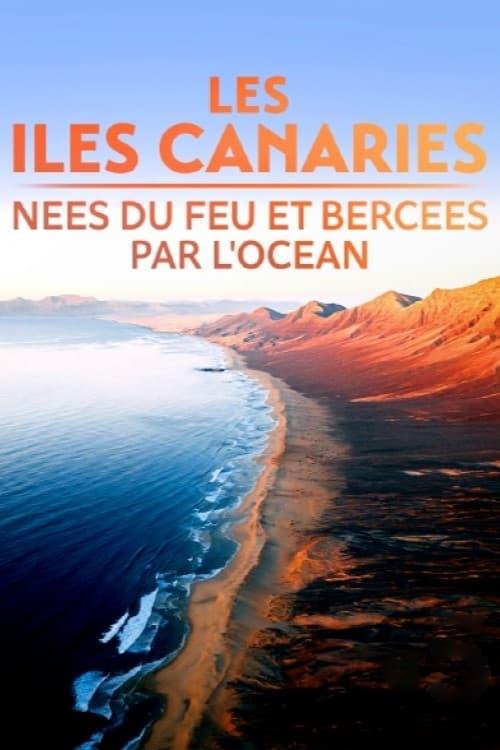 Les Îles Canaries, nées du feu et bercées par l'océan