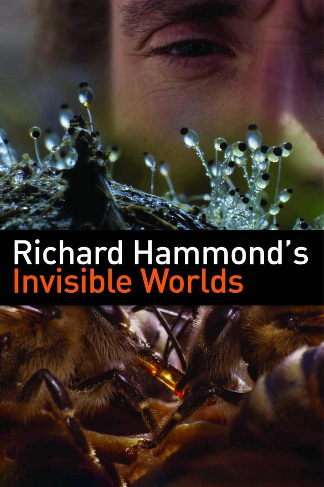 Richard Hammond's Invisible Worlds