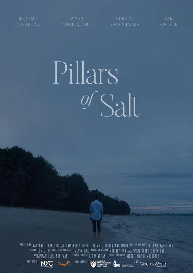 Pillars of Salt