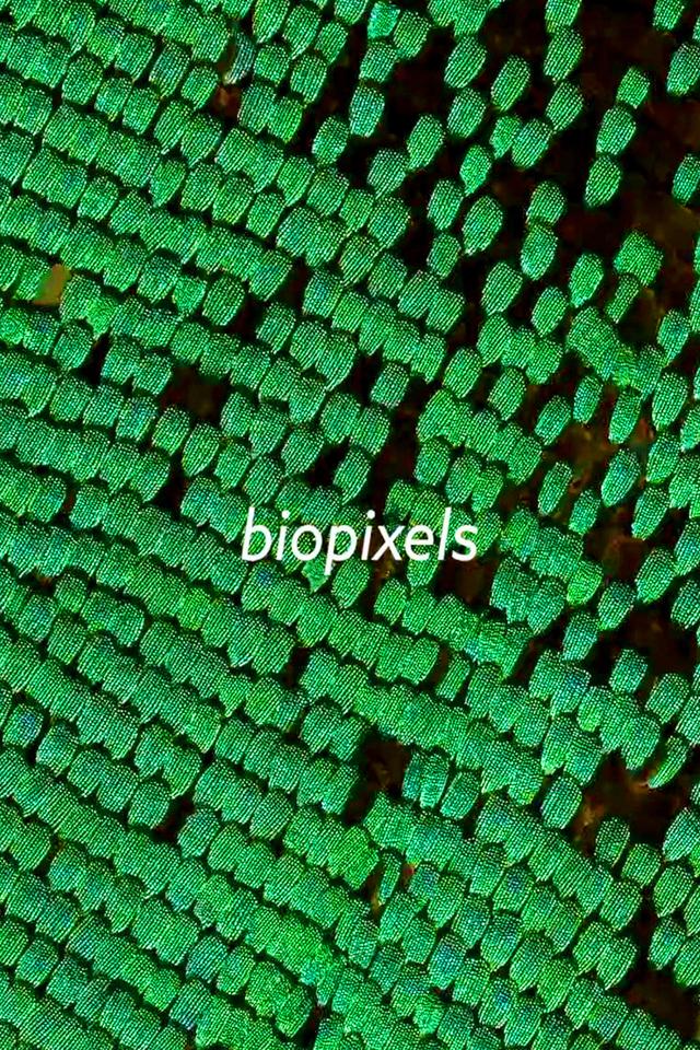 biopixels