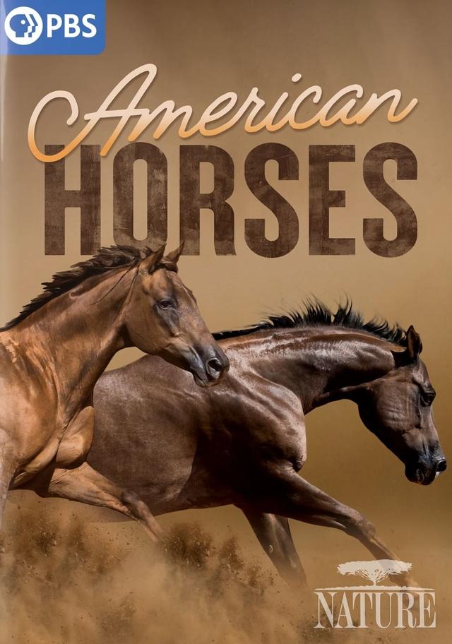 American Horses