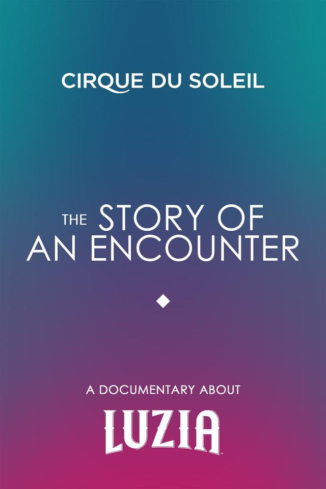 The Story Of An Encounter