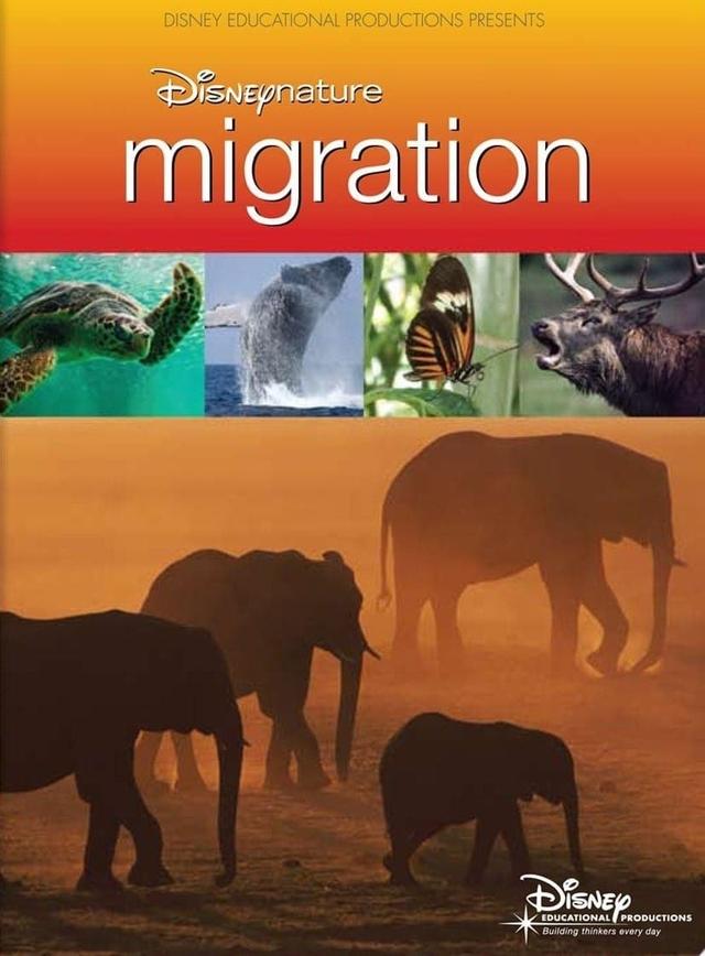 Disneynature: Migration