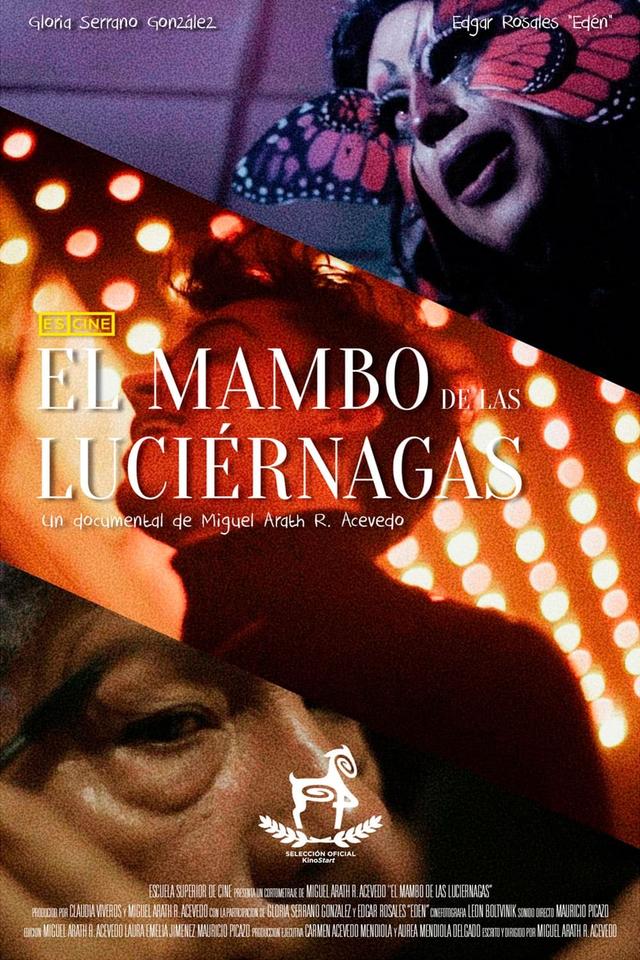 El mambo de las luciérnagas