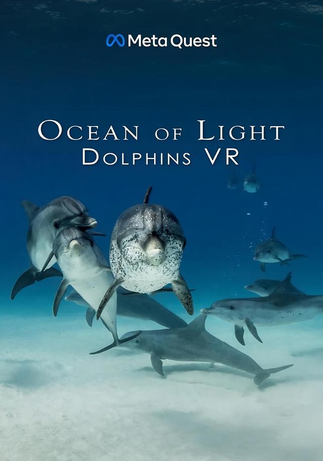 Ocean of Light - Dolphins VR