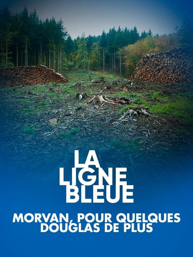 Morvan, pour quelques douglas de plus