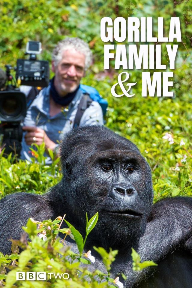 Gorilla Family & Me