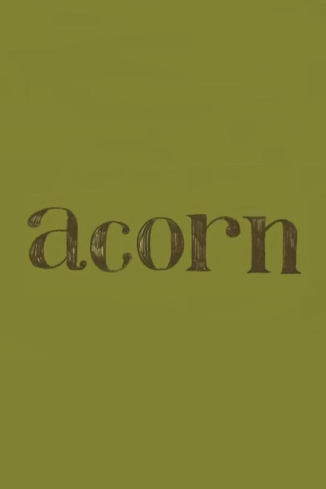 Acorn