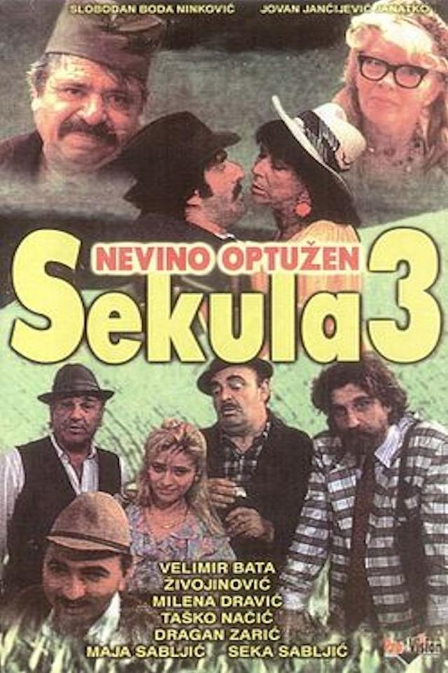 Sekula Innocent Accused