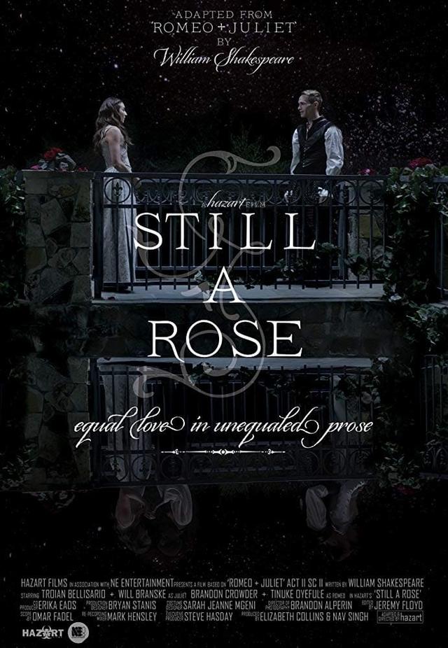 Still a Rose