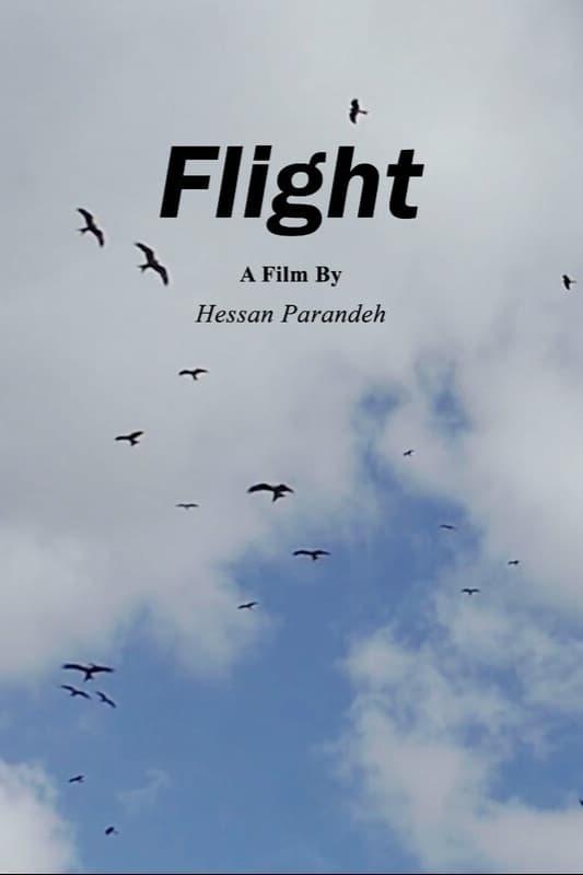 Flight