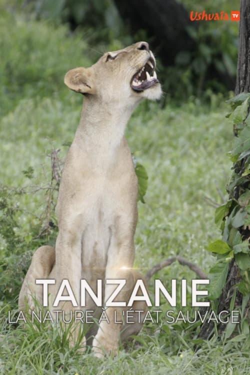 Tanzanie, la nature à l'état sauvage