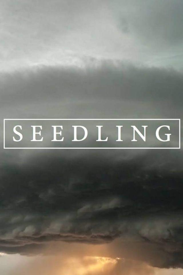 Seedling