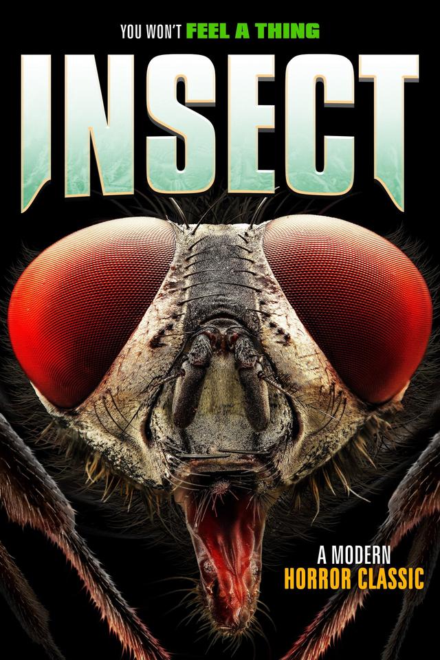 Insect